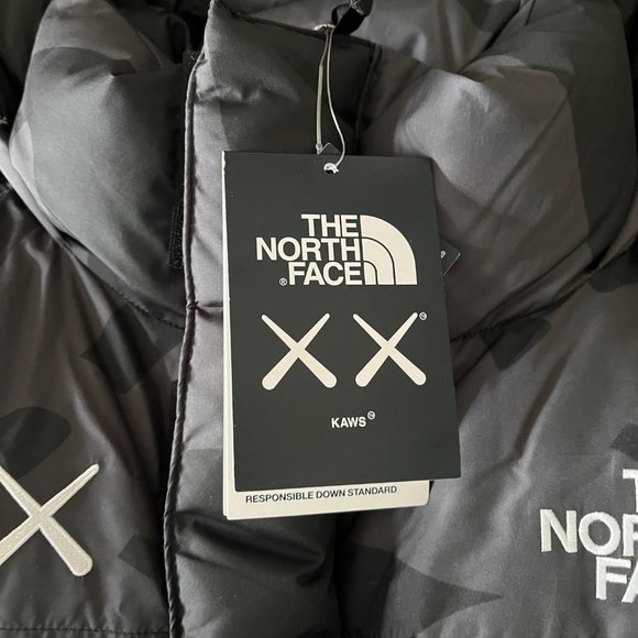 THE NORTH FACE X KAWS RETRO 1994 HIMALAYAN PARKA - Picture 4 of 4